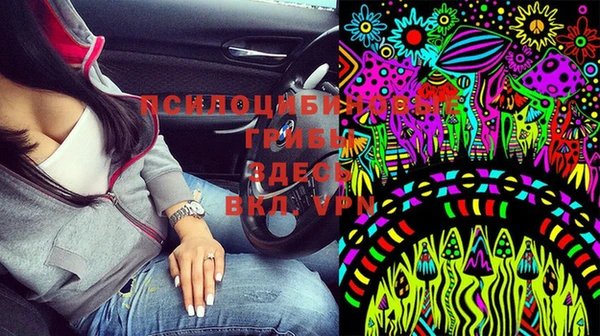 каннабис Алексин
