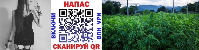 Канабис планчик  как найти   Краснослободск 